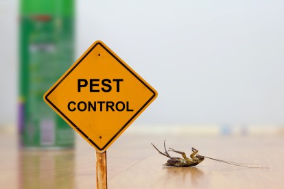 Pest Contol in Hounslow West, Hounslow Heath, Cranford, TW4. Call Now 020 8166 9746